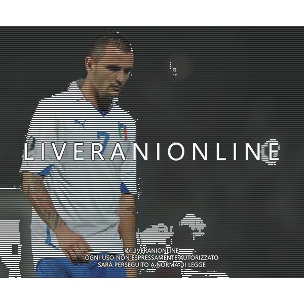 Qualificazioni ai Campionati Europei UEFA EURO 2012 Gruppo C Belfast (Irlanda del Nord) - 08.10.2010 Irlanda del Nord-Italia Nella Foto:Simone PEPE /Ph.Vitez-Ag. Aldo Liverani