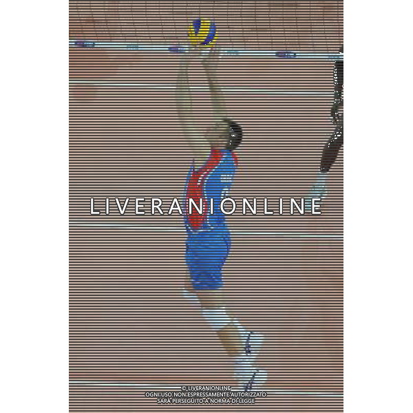Campionati Mondiali Pallavolo maschile FIVB Semifinale Roma 9-10-2010 Cuba - Serbia nella foto: Nikola Grbic (Serbia) foto Garavaglia - ag. Aldo Liverani sas