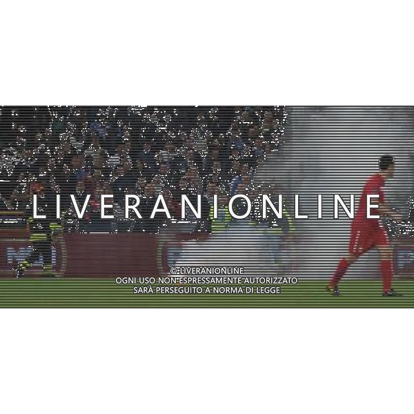 Qualificazioni ai Campionati Europei UEFA EURO 2012 Gruppo C Genova - 12.10.2010 Italia-Serbia Nella Foto:fumogeno in campo /Ph.Vitez-Ag. Aldo Liverani