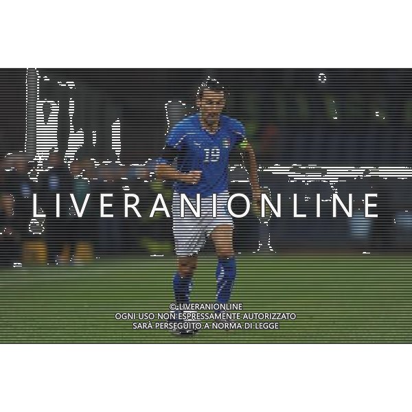 Qualificazioni ai Campionati Europei UEFA EURO 2012 Gruppo C Genova - 12.10.2010 Italia-Serbia Nella Foto:Gianluca ZAMBROTTA /Ph.Vitez-Ag. Aldo Liverani