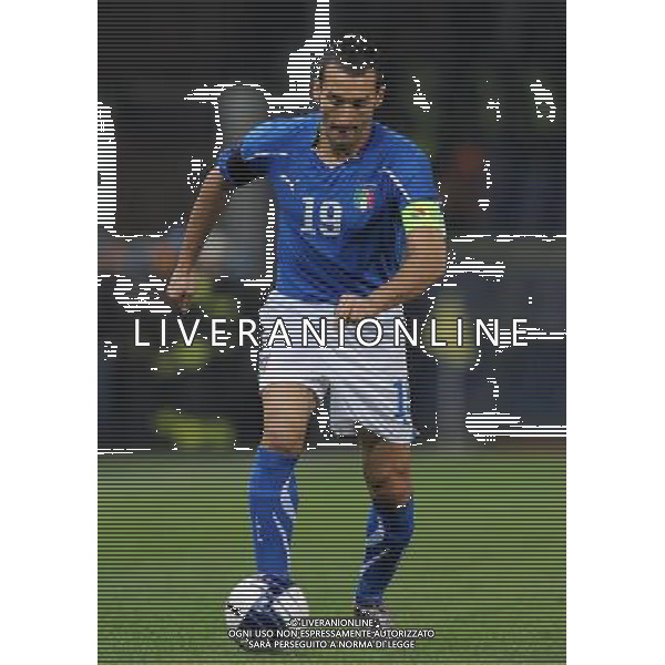 Qualificazioni ai Campionati Europei UEFA EURO 2012 Gruppo C Genova - 12.10.2010 Italia-Serbia Nella Foto:Gianluca ZAMBROTTA /Ph.Vitez-Ag. Aldo Liverani