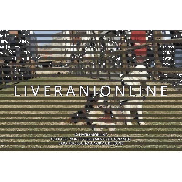 CANE BORDER COLLIE USATO PER GUIDARE LE GREGGI DI PECORE © Gary Lee - Photoshot - Ag. Aldo Liverani sas ITALY ONLY