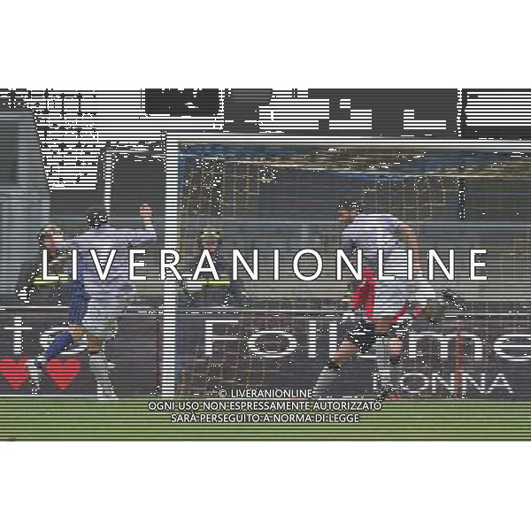 17/10/2010 VERONA LEGA PRO HELLAS VERONA - ALESSANDRIA NELLA FOTO il gol di Hallfredsson ©AG ALDO LIVERANI SAS