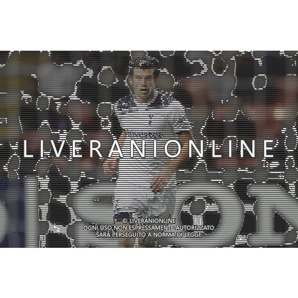 Inter - Tottenham Champions League 20/10/2010 nella foto esultanza dopo il gol di bale ©luzzani/Agenzia Aldo Liverani Sas