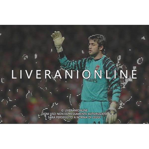 LONDRA CHAMPIONS LEAGUE 2010-2011: partita ARSENAL FC LONDON - SHAKHTAR DONETSK nella foto: LUKASZ FABIANSKI © PIOTR KUCZA/NEWSPIX.PL - AG. ALDO LIVERANI SAS ITALY ONLY 
