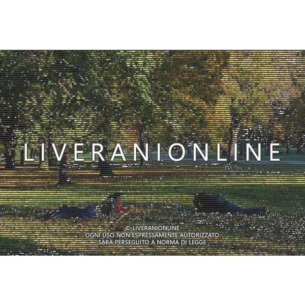 VIENNA, 22 ottobre 2010 Parco cittadino di Vienna, Austria ©PHOTOSHOT/ALDO LIVERANI SAS ITALY ONLY