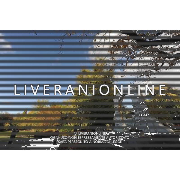 VIENNA, 22 ottobre 2010 Parco cittadino di Vienna, Austria ©PHOTOSHOT/ALDO LIVERANI SAS ITALY ONLY