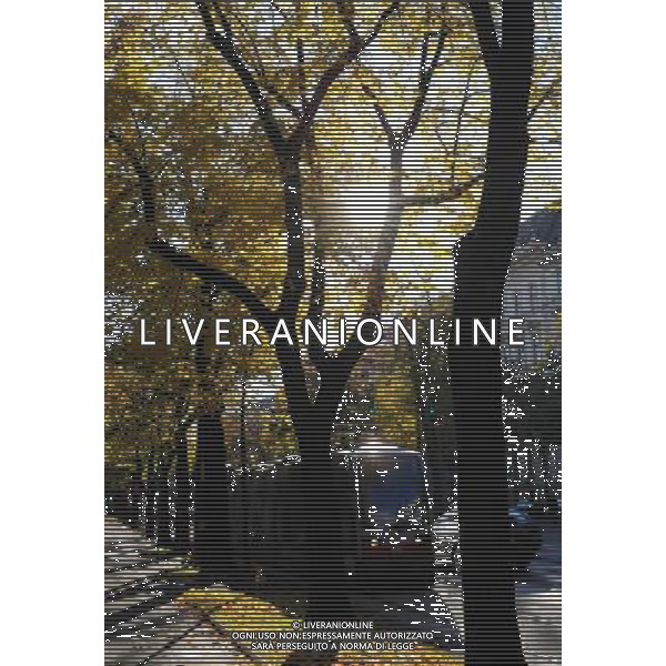 VIENNA, 22 ottobre 2010 Parco cittadino di Vienna, Austria ©PHOTOSHOT/ALDO LIVERANI SAS ITALY ONLY