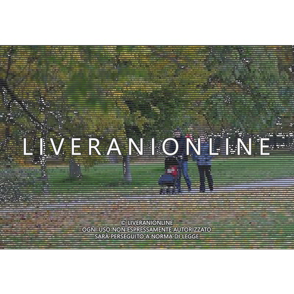 VIENNA, 22 ottobre 2010 Parco cittadino di Vienna, Austria ©PHOTOSHOT/ALDO LIVERANI SAS ITALY ONLY