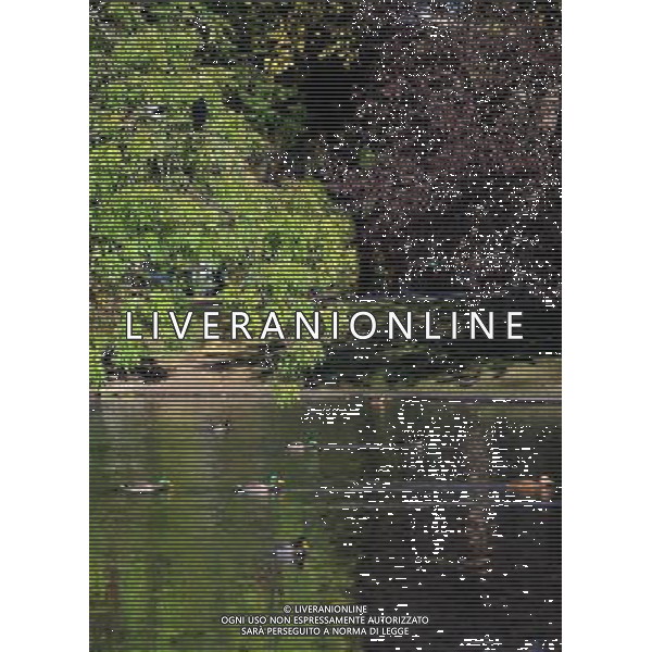 VIENNA, 22 ottobre 2010 Parco cittadino di Vienna, Austria ©PHOTOSHOT/ALDO LIVERANI SAS ITALY ONLY