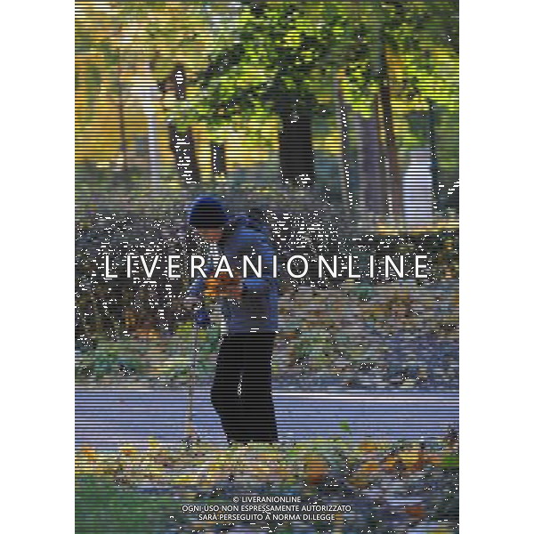 VIENNA, 22 ottobre 2010 Parco cittadino di Vienna, Austria ©PHOTOSHOT/ALDO LIVERANI SAS ITALY ONLY