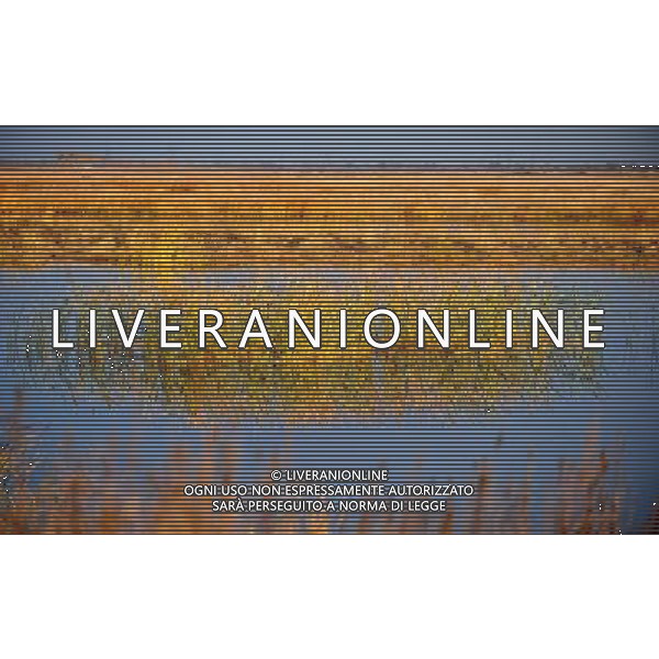 HOHHOT - SITUAZIONE AUTUNNO IN MONGOLIA © Ren Junchuan - Xinhua - Photoshot - Ag. Aldo Liverani sas ITALY ONLY