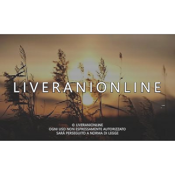 HOHHOT - SITUAZIONE AUTUNNO IN MONGOLIA © Ren Junchuan - Xinhua - Photoshot - Ag. Aldo Liverani sas ITALY ONLY