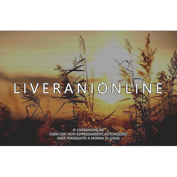 HOHHOT - SITUAZIONE AUTUNNO IN MONGOLIA © Ren Junchuan - Xinhua - Photoshot - Ag. Aldo Liverani sas ITALY ONLY