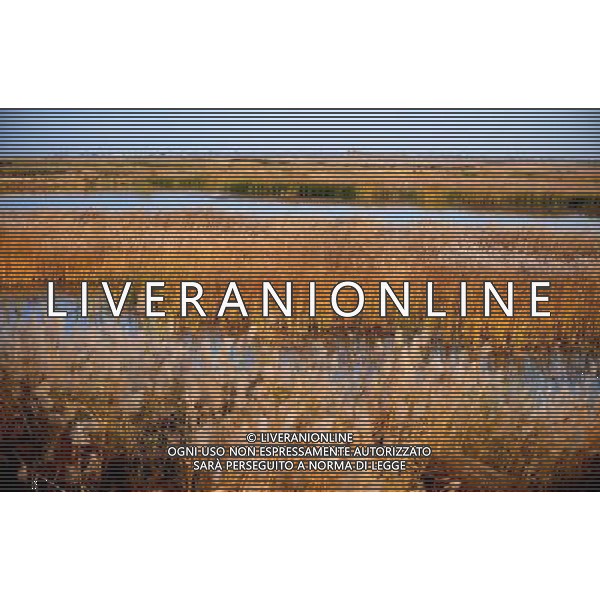 HOHHOT - SITUAZIONE AUTUNNO IN MONGOLIA © Ren Junchuan - Xinhua - Photoshot - Ag. Aldo Liverani sas ITALY ONLY