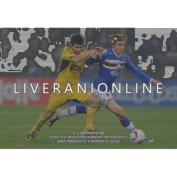 UEFA Europa League 2010/2011 Genova - 04.11.2010 Sampdoria-FC Metalist Kharkiv Nella Foto:dessena vilagra /Ph.Vitez-Ag. Aldo Liverani
