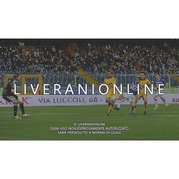 UEFA Europa League 2010/2011 Genova - 04.11.2010 Sampdoria-FC Metalist Kharkiv Nella Foto:occasione marilungo /Ph.Vitez-Ag. Aldo Liverani