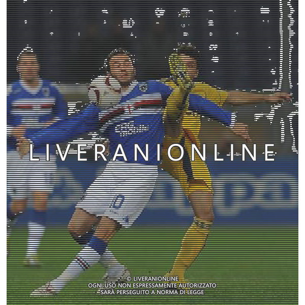 UEFA Europa League 2010/2011 Genova - 04.11.2010 Sampdoria-FC Metalist Kharkiv Nella Foto:pazzini /Ph.Vitez-Ag. Aldo Liverani
