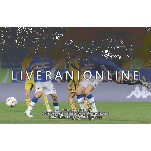 UEFA Europa League 2010/2011 Genova - 04.11.2010 Sampdoria-FC Metalist Kharkiv Nella Foto:disljenkovic anticipa pazzini /Ph.Vitez-Ag. Aldo Liverani