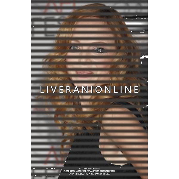 Heather Graham Photo by Janet Gough \'The King\'s Speech\' Ensemble Tribute and Screening AFI FEST 2010 presented by Audi at Grauman\'s Chinese Theatre November 5, 2010 - Hollywood, California The King\'s Speech is a British historical drama film directed by Tom Hooper from a script by David Seidler. The film won the 2010 Toronto International Film Festival People\'s Choice Award. The film stars Colin Firth as King George VI and Geoffrey Rush as speech therapist Lionel Logue, who helped George VI overcome a stammer. ©photoshot/AGENZIA ALDO LIVERANI SAS - ITALY ONLY - *** Local Caption *** .