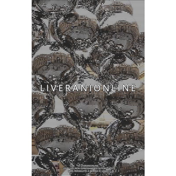 royal academy of art 2010 - © Brian Jordan/ Retna Pictures - Photoshot - Ag. Aldo Liverani sas ITALY ONLY VEDUTE LONDRA E INGHILTERRA