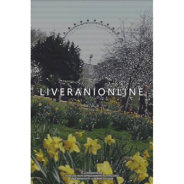 london eye 11/04/2010 - © Brian Jordan/ Retna Pictures - Photoshot - Ag. Aldo Liverani sas ITALY ONLY VEDUTE LONDRA E INGHILTERRA