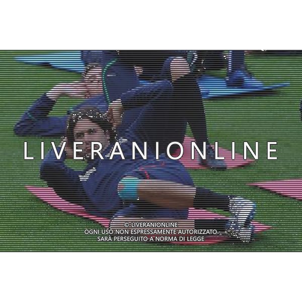 Raduno Nazionale Italiana a Coverciano Coverciano(FI) - 15.11.2010 Allenamento Nella Foto:sirigu Salvatore /Ph.Vitez-Ag. Aldo Liverani