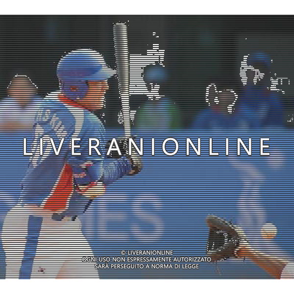 (101116) -- GUANGZHOU, Nov. 16, 2010 () -- Kim Hyun Soo of South Korea is hit by the ball during the men\'s preliminaries Pool B game 10 of baseball against Pakistan at the 16th Asian Games in Guangzhou, capital of south China\'s Guangdong Province, Nov. 16, 2010. South Korea won the match 17-0. (/Yang Junjiang) ©photoshot/Agenzia Aldo Liverani Sas - ITALY ONLY - 16a Giochi Asiatici di Guangzhou, nel sud della Cina
