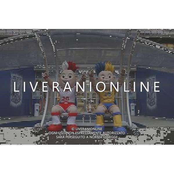 LE MASCOTTE DEI CAMPIONATI EUROPEI DI CALCIO 2012 CHE SI TERRANNO IN POLONIA ED UCRAINA FOTO KATARZYNA PLEWCZYNSKA/CYFRASPORT/NEWSPIX.PL - AG. ALDO LIVERANI SAS ITALY ONLY 