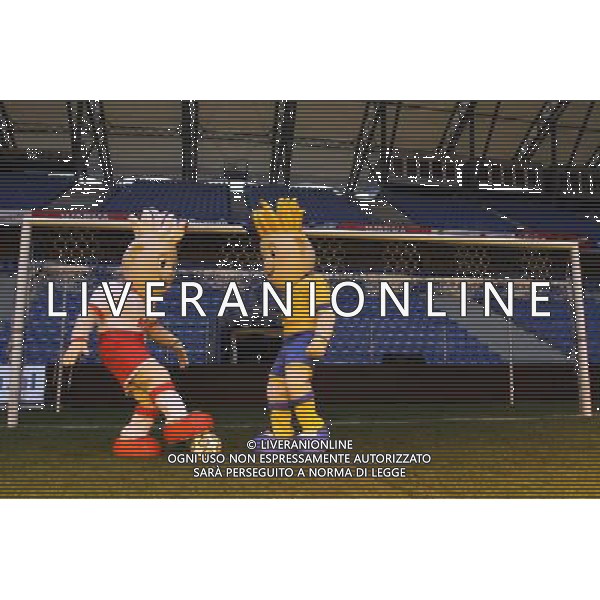 LE MASCOTTE DEI CAMPIONATI EUROPEI DI CALCIO 2012 CHE SI TERRANNO IN POLONIA ED UCRAINA FOTO KATARZYNA PLEWCZYNSKA/CYFRASPORT/NEWSPIX.PL - AG. ALDO LIVERANI SAS ITALY ONLY 