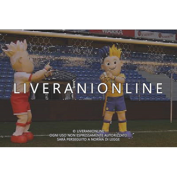 LE MASCOTTE DEI CAMPIONATI EUROPEI DI CALCIO 2012 CHE SI TERRANNO IN POLONIA ED UCRAINA FOTO KATARZYNA PLEWCZYNSKA/CYFRASPORT/NEWSPIX.PL - AG. ALDO LIVERANI SAS ITALY ONLY 