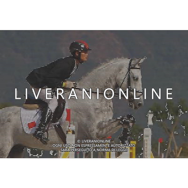(101120) -- GUANGZHOU, Nov. 20, 2010 () -- China\'s Liang Ruiji competes with his horse Cervanto2 during the Eventing Team Qualifier Jumping of Equestrian competition at the 16th Asian Games in Guangzhou, south China\'s Guangdong Province, Nov. 20, 2010. China won the bronze medal of Eventing Team with 164.90 points in total result. (/Xiang Mei) ©photoshot/Agenzia Aldo Liverani Sas - ITALY ONLY - CINA: 16mi Giochi Asiatici