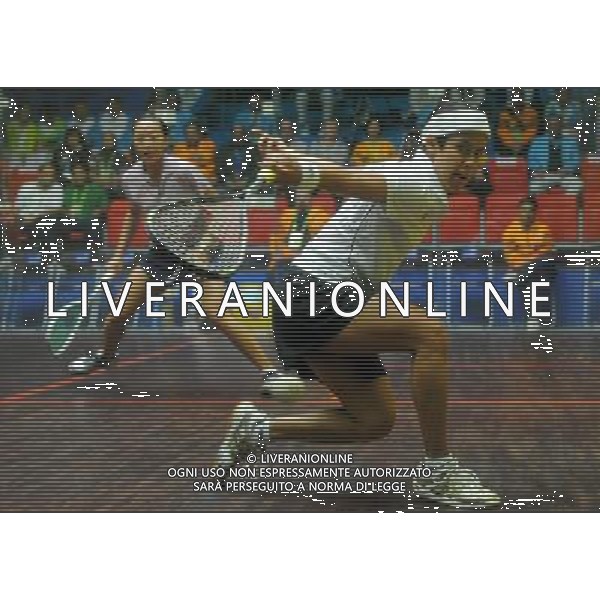 (101120) -- GUANGZHOU, Nov. 20, 2010 () -- David Nicol Ann (Front) of Malaysia competes during the women\'s individual Squash semifinals against Low Wee Wern of Malaysia at the 16th Asian Games in Guangzhou, south China\'s Guangdong Province, Nov. 20, 2010. David Nicol Ann won the match by 3-0 and enter the final. (/Wang Lei) ©photoshot/Agenzia Aldo Liverani Sas - ITALY ONLY - CINA: 16mi Giochi Asiatici