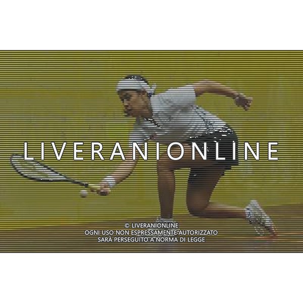 (101120) -- GUANGZHOU, Nov. 20, 2010 () -- David Nicol Ann of Malaysia competes during the women\'s individual Squash semifinals against Low Wee Wern of Malaysia at the 16th Asian Games in Guangzhou, south China\'s Guangdong Province, Nov. 20, 2010. David Nicol Ann won the match by 3-0 and enter the final. (/Wang Lei) ©photoshot/Agenzia Aldo Liverani Sas - ITALY ONLY - CINA: 16mi Giochi Asiatici