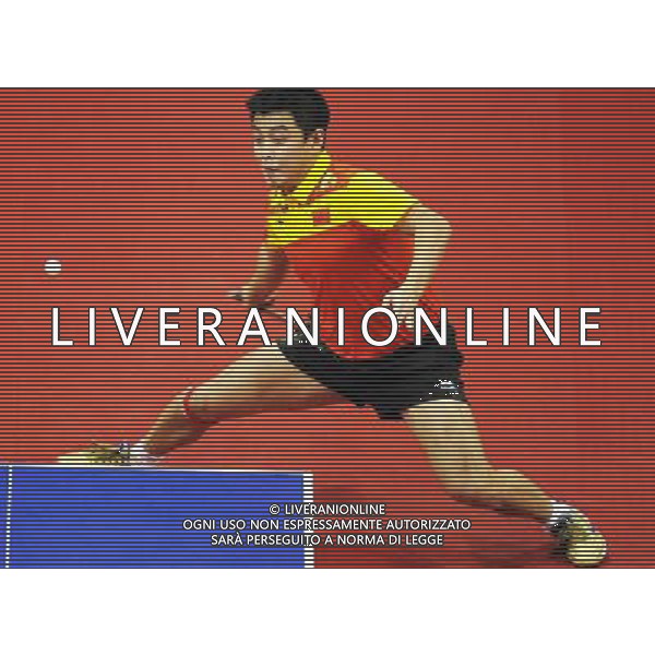 (101120) -- GUANGZHOU, Nov. 20, 2010 () -- Wang Hao of China competes during the men\'s singles final of table tennis against Ma Long of China at the 16th Asian Games in Guangzhou, south China\'s Guangdong Province, Nov. 20, 2010. Wang Hao lost 2-4 and got the silver medal. (/Xu Jiajun) ©photoshot/Agenzia Aldo Liverani Sas - ITALY ONLY - CINA: 16mi Giochi Asiatici