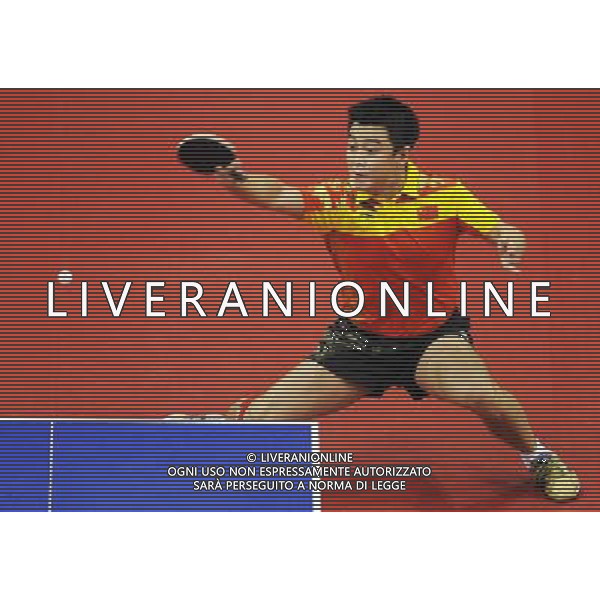 (101120) -- GUANGZHOU, Nov. 20, 2010 () -- Wang Hao of China competes during the men\'s singles final of table tennis against Ma Long of China at the 16th Asian Games in Guangzhou, south China\'s Guangdong Province, Nov. 20, 2010. Wang Hao lost 2-4 and got the silver medal. (/Xu Jiajun) ©photoshot/Agenzia Aldo Liverani Sas - ITALY ONLY - CINA: 16mi Giochi Asiatici