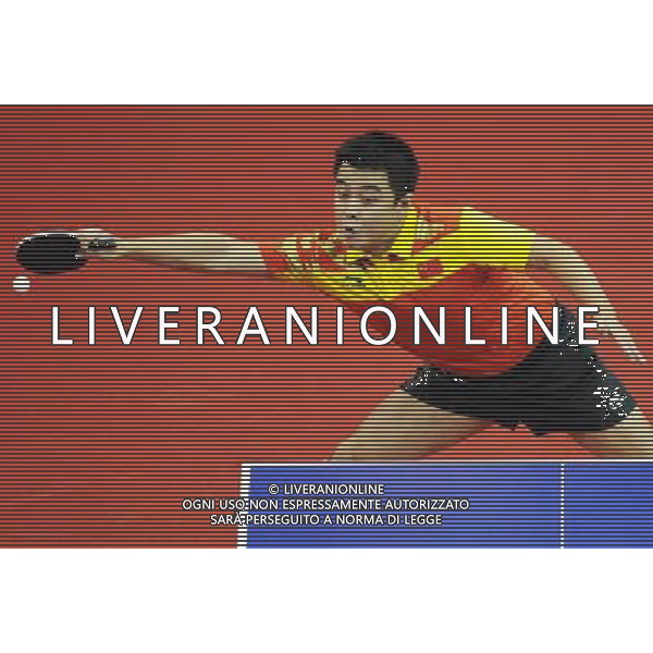 (101120) -- GUANGZHOU, Nov. 20, 2010 () -- Wang Hao of China competes during the men\'s singles final of table tennis against Ma Long of China at the 16th Asian Games in Guangzhou, south China\'s Guangdong Province, Nov. 20, 2010. Wang Hao lost 2-4 and got the silver medal. (/Xu Jiajun) ©photoshot/Agenzia Aldo Liverani Sas - ITALY ONLY - CINA: 16mi Giochi Asiatici