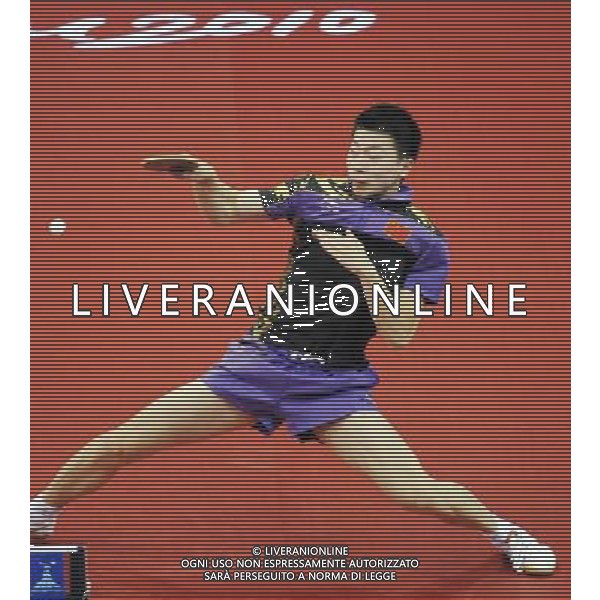 (101120) -- GUANGZHOU, Nov. 20, 2010 () -- Ma Long of China competes during the men\'s singles final of table tennis competition against his compatriot Wang Hao at the 16th Asian Games in Guangzhou, south China\'s Guangdong Province, Nov. 20, 2010. Ma Long defeated Wang 4-2 and won the gold of the event. (/Xu Jiajun) ©photoshot/Agenzia Aldo Liverani Sas - ITALY ONLY - CINA: 16mi Giochi Asiatici