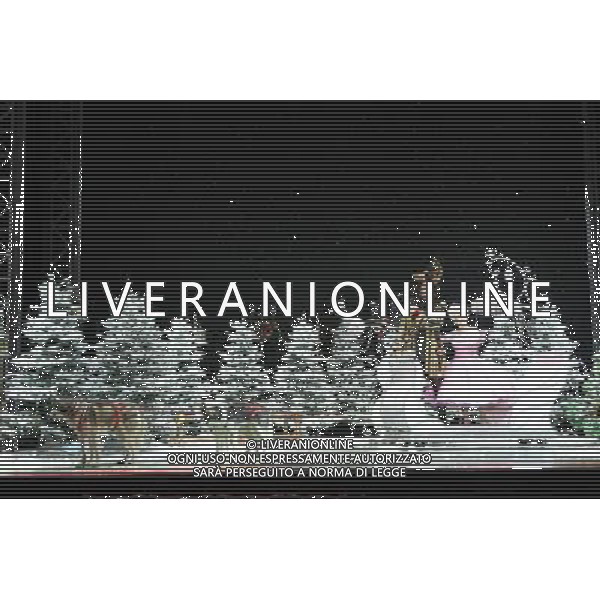 Pictured: David Hasselhoff and Barbara Windsor First Family Entertainment press launch photocall, PIccadilly Theatre, London, UK. 26/11/2010 Byline: Retna Pictures/Kiera Fyles /PHOTOSHOT/AG ALDO LIVERANI SAS - ITALY ONLY -