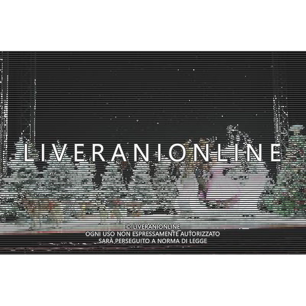 Pictured: David Hasselhoff and Barbara Windsor First Family Entertainment press launch photocall, PIccadilly Theatre, London, UK. 26/11/2010 Byline: Retna Pictures/Kiera Fyles /PHOTOSHOT/AG ALDO LIVERANI SAS - ITALY ONLY -