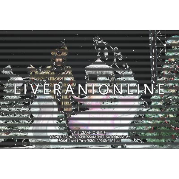 Pictured: David Hasselhoff and Barbara Windsor First Family Entertainment press launch photocall, PIccadilly Theatre, London, UK. 26/11/2010 Byline: Retna Pictures/Kiera Fyles /PHOTOSHOT/AG ALDO LIVERANI SAS - ITALY ONLY -