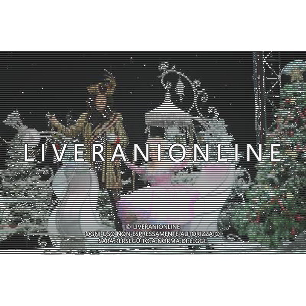 Pictured: David Hasselhoff and Barbara Windsor First Family Entertainment press launch photocall, PIccadilly Theatre, London, UK. 26/11/2010 Byline: Retna Pictures/Kiera Fyles /PHOTOSHOT/AG ALDO LIVERANI SAS - ITALY ONLY -