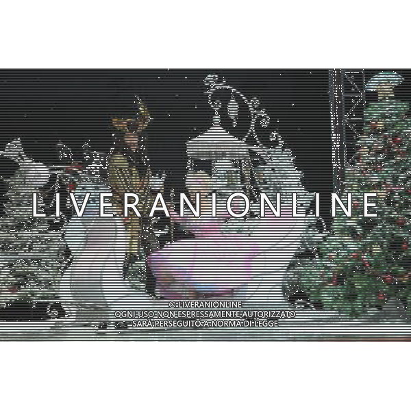 Pictured: David Hasselhoff and Barbara Windsor First Family Entertainment press launch photocall, PIccadilly Theatre, London, UK. 26/11/2010 Byline: Retna Pictures/Kiera Fyles /PHOTOSHOT/AG ALDO LIVERANI SAS - ITALY ONLY -