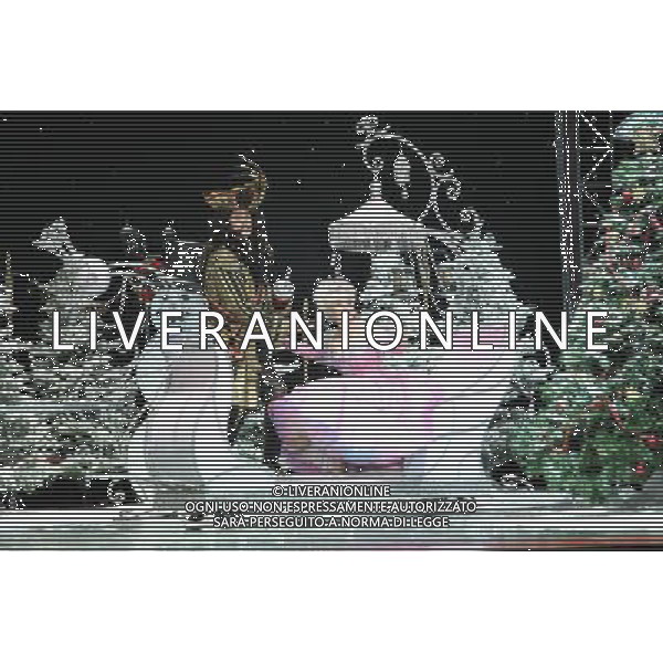 Pictured: David Hasselhoff and Barbara Windsor First Family Entertainment press launch photocall, PIccadilly Theatre, London, UK. 26/11/2010 Byline: Retna Pictures/Kiera Fyles /PHOTOSHOT/AG ALDO LIVERANI SAS - ITALY ONLY -