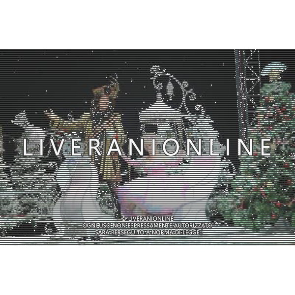 Pictured: David Hasselhoff and Barbara Windsor First Family Entertainment press launch photocall, PIccadilly Theatre, London, UK. 26/11/2010 Byline: Retna Pictures/Kiera Fyles /PHOTOSHOT/AG ALDO LIVERANI SAS - ITALY ONLY -