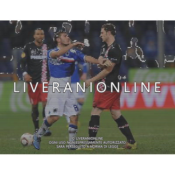 UEFA Europa League 2010/2011 Genova - 01.12.2010 Sampdoria-PSV Eindhoven Nella Foto:scontro marilungo pieters /Ph.Vitez-Ag. Aldo Liverani