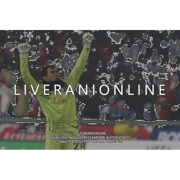 01.12.2010 POZNAN, POLSKA - STADION STADION MIEJSKI UL.BULGARSKA;( POZNAN - CITY STADIUM, BULGARSKA STREET ), PILKA NOZNA (FOOTBALL), LIGA EUROPEJSKA UEFA - LIGA EUROPY SEZON 2010/2011 GRUPA A (UEFA EUROPEAN LEAGUE 2010/2011 GROUP A), MECZ LECH POZNAN - JUVENTUS TURYN NZ RADOSC BRAMKA GOL KRZYSZTOF KOTOROWSKI FOTO MATEUSZ TRZUSKOWSKI/CYFRASPORT/NEWSPIX.PL --- Newspix.pl ©NEWSPIX.PL/Agenzia Aldo Liverani Sas - ITALY ONLY - POLONIA: LECH POZNAN - JUVENTUS UEFA EUROPA LEAGUE *** Local Caption *** www.newspix.pl mail us: info@newspix.pl call us: 0048 022 23 22 222 --- Polish Picture Agency by Ringier Axel Springer Poland