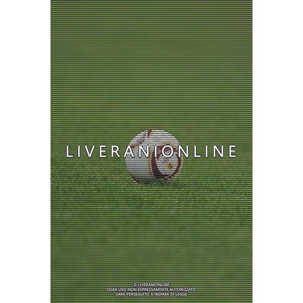 UEFA Europa League 2010/2011 Genova - 01.12.2010 Sampdoria-PSV Eindhoven Nella Foto:Pallone Europa League /Ph.Vitez-Ag. Aldo Liverani