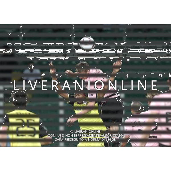 GIUSEPPE SERGI - ALDO LIVERANI 02-12-10 Palermo : Palermo - sparta praga uefa europa league 2010-11 Nella foto: kweuke e goian
