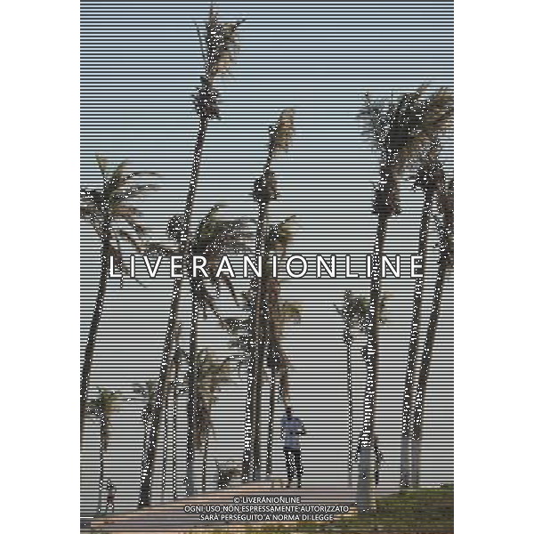 Un uomo corre sulla strada lungo la costa di Dakar, capitale del Senegal, 1 dicembre 2010. Dakar  situato sulla penisola di Cap-Vert, sulla costa atlantica del paese e sul bordo occidentale dell\'Africa. (/ Haitao Ding) (WJD) Photoshot-AGALDOLIVERANI ONLYITALY